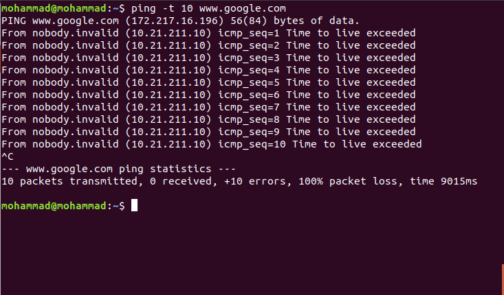 ping command