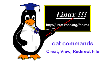 دستور cat در لینوکس