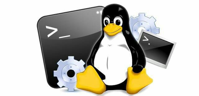 برای بزرگتر شدن عکس روی آن کلیک کنید  نام:	terminal-linux-zone-org-forums-1.jpg نمایش ها:	2 اندازه:	18.2 KB شناسه:	21780