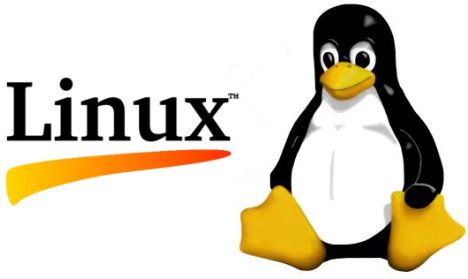 برای بزرگتر شدن عکس روی آن کلیک کنید  نام:	linux-server.jpg نمایش ها:	1 اندازه:	14.5 KB شناسه:	18666