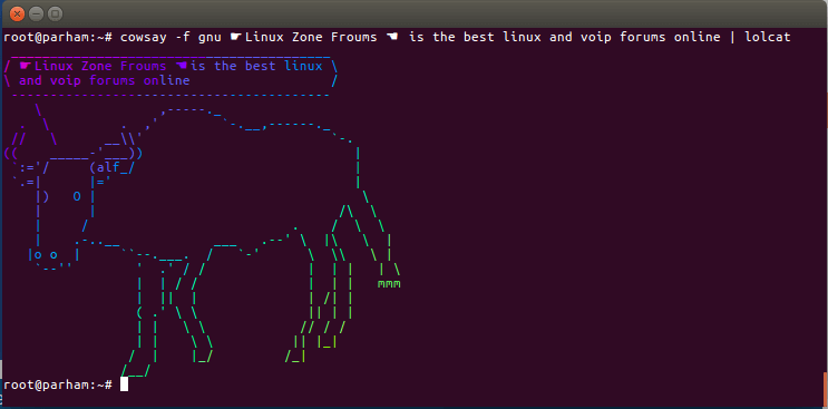 how to install lolcat command in linux