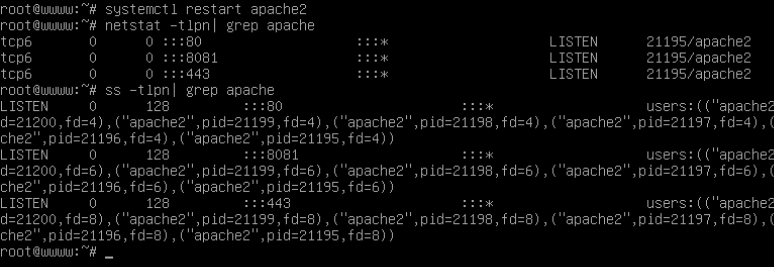 برای دیدن سایز بزرگ روی عکس کلیک کنید  نام: Verify-Apache-Port-4.png مشاهده: 1 حجم: 23.2 کیلو بایت