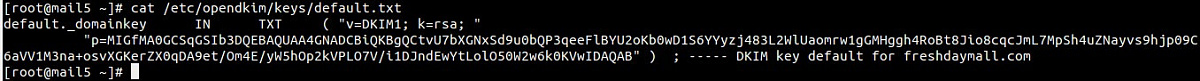 برای بزرگتر شدن عکس روی آن کلیک کنیدنام:	domain-public-key-opendkim.jpgنمایش ها:	147اندازه:	52.4 KBشناسه:	24904