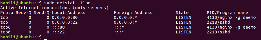 Click image for larger version  Name:	Check-Nginx-Network-Port-Connection.png Views:	1 Size:	7.0 KB ID:	22096