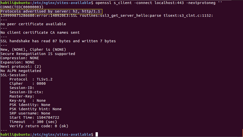 Click image for larger version  Name:	Test-Nginx-HTTP-2-Protocol.png Views:	1 Size:	68.7 KB ID:	22105