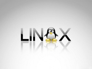 برای بزرگتر شدن عکس روی آن کلیک کنید  نام:	Linux-Wallpaper-HD-300x225.jpg نمایش ها:	1 اندازه:	8.2 KB شناسه:	18408