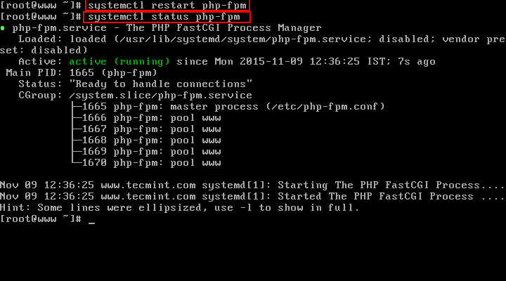 برای بزرگتر شدن عکس روی آن کلیک کنید  نام:	Start-and-Verify-Php-Fpm.png نمایش ها:	1 اندازه:	4.9 KB شناسه:	20337