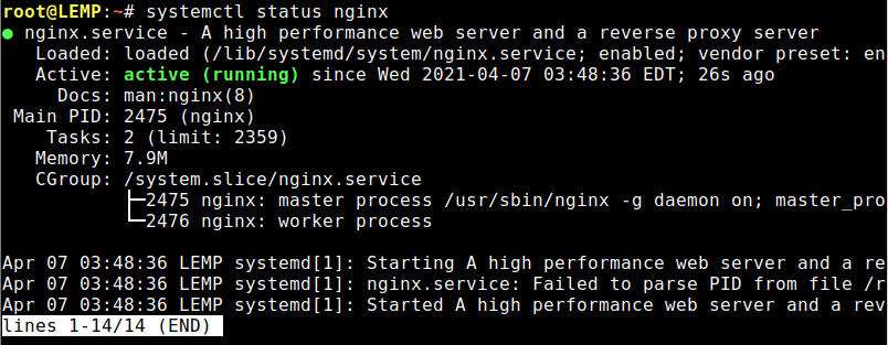 بررسی وضعیت سرویس nginx در debian 10