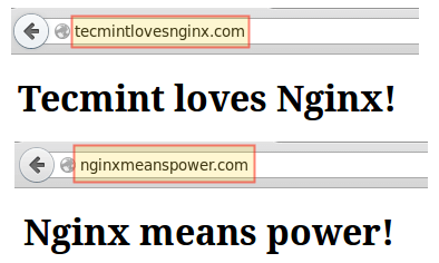برای بزرگتر شدن عکس روی آن کلیک کنید  نام:	Check-Nginx-Name-Based-Virtual-Hosts.png نمایش ها:	1 اندازه:	8.8 KB شناسه:	20353
