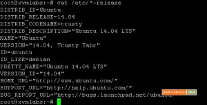 برای بزرگتر شدن عکس روی آن کلیک کنید  نام:	3-check-ubuntu-version-300x153.jpg نمایش ها:	1 اندازه:	13.8 KB شناسه:	18413